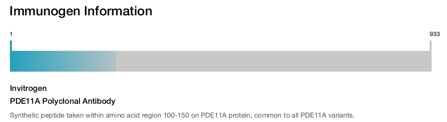 PDE11A Polyclonal Antibody