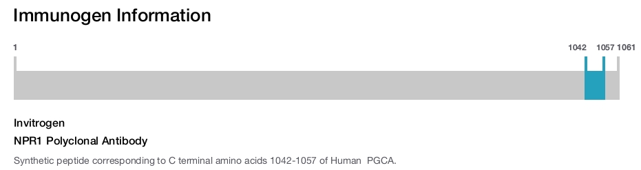 NPR1 Polyclonal Antibody