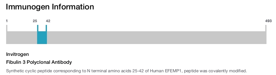 Fibulin 3 Polyclonal Antibody