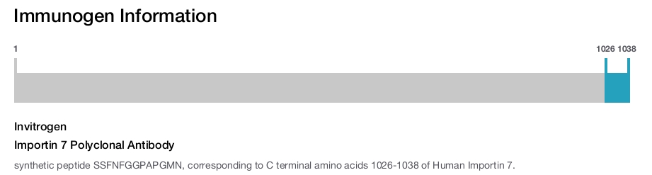 Importin 7 Polyclonal Antibody