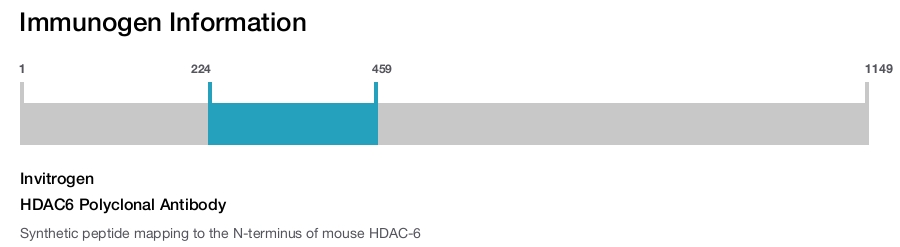 HDAC6 Polyclonal Antibody