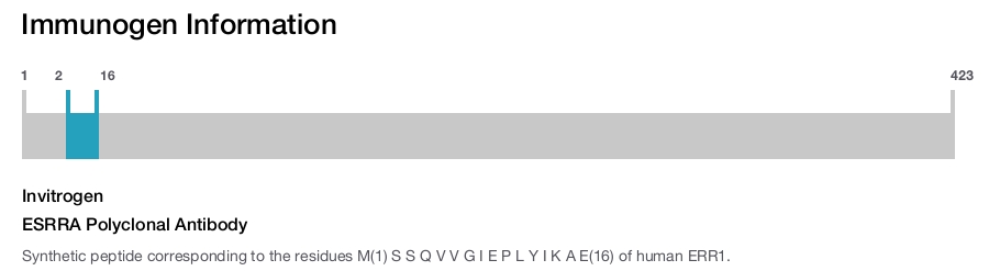 ESRRA Polyclonal Antibody
