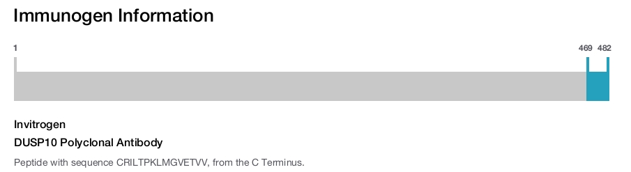 DUSP10 Polyclonal Antibody