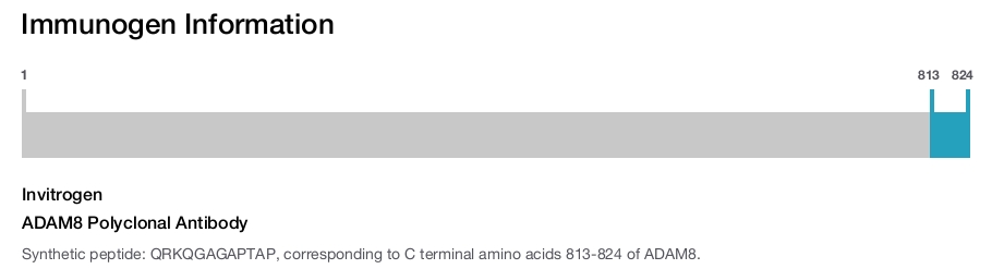 ADAM8 Polyclonal Antibody