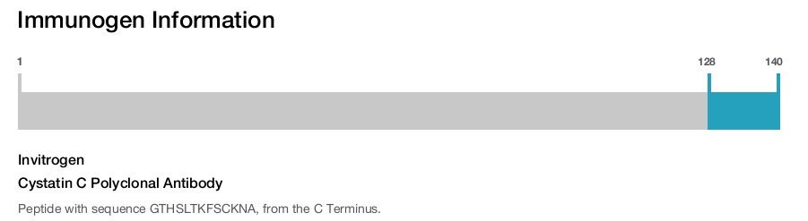 Cystatin C Polyclonal Antibody
