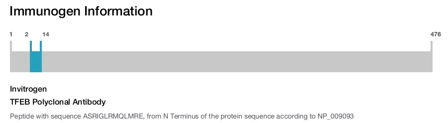 TFEB Polyclonal Antibody
