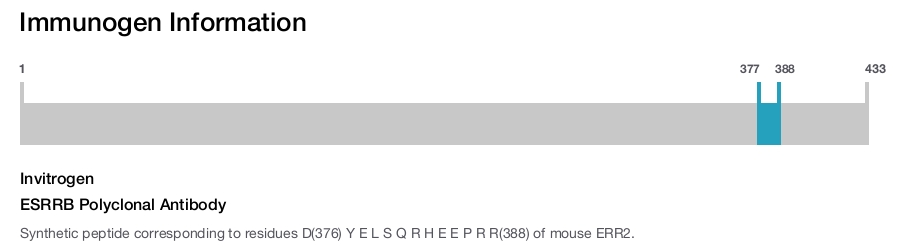 ESRRB Polyclonal Antibody