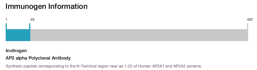 AP2 alpha Polyclonal Antibody