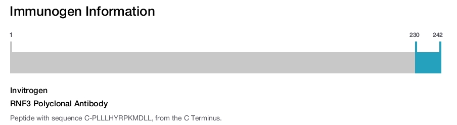 RNF3 Polyclonal Antibody