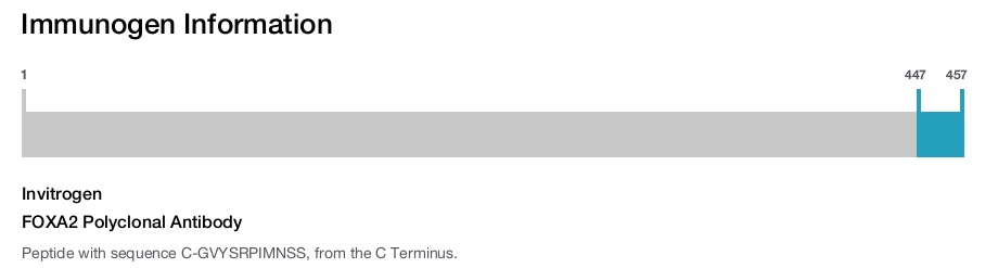 FOXA2 Polyclonal Antibody
