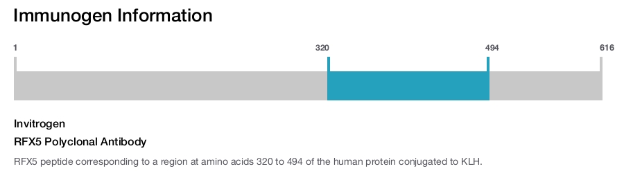 RFX5 Polyclonal Antibody