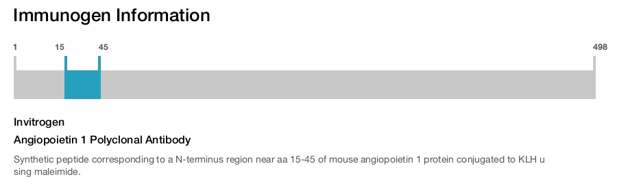Angiopoietin 1 Polyclonal Antibody
