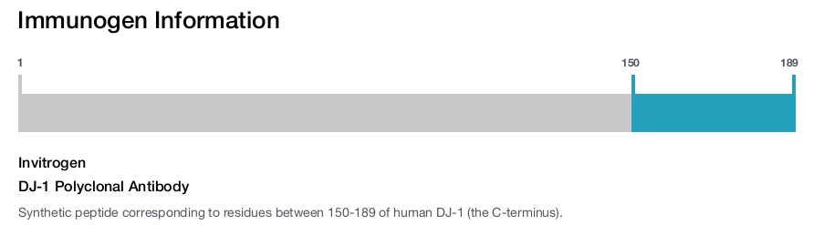 DJ-1 Polyclonal Antibody