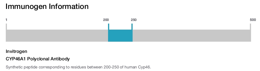 CYP46A1 Polyclonal Antibody