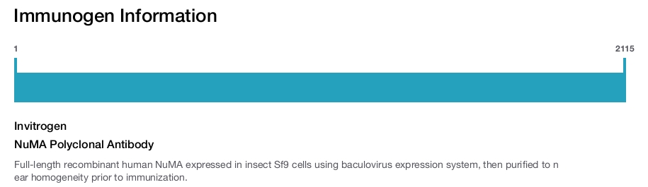 NuMA Polyclonal Antibody