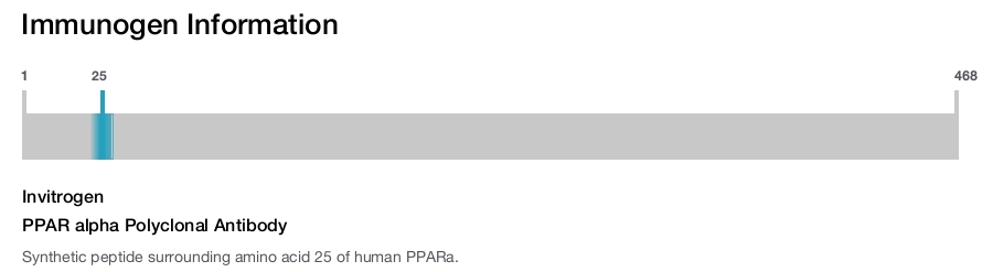 PPAR alpha Polyclonal Antibody