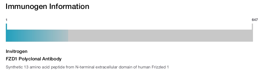 FZD1 Polyclonal Antibody