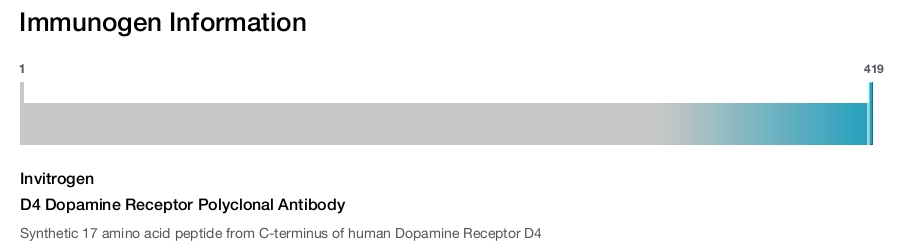 D4 Dopamine Receptor Polyclonal Antibody