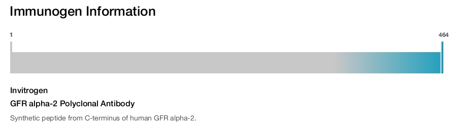 GFR alpha-2 Polyclonal Antibody