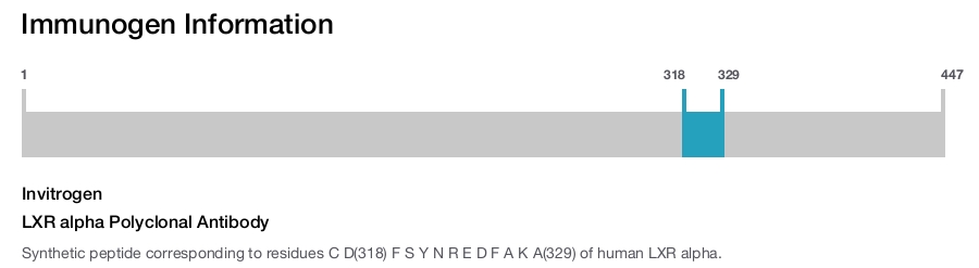 LXR alpha Polyclonal Antibody