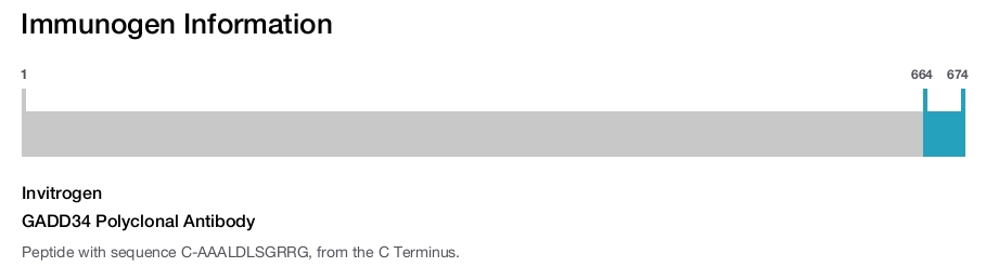 GADD34 Polyclonal Antibody