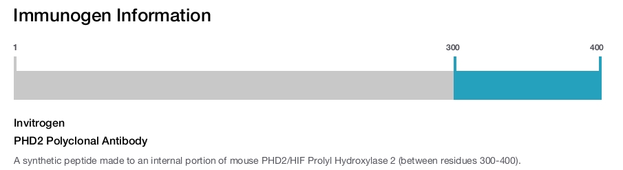 PHD2 Polyclonal Antibody