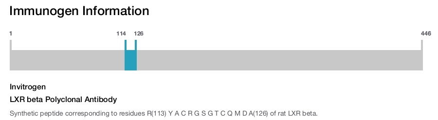LXR beta Polyclonal Antibody