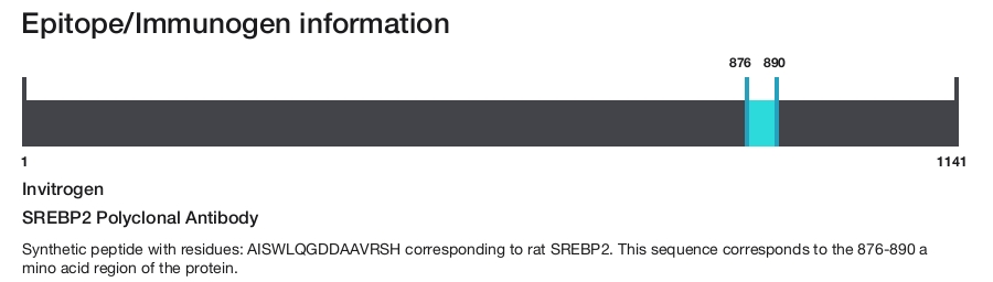 SREBP2 Polyclonal Antibody