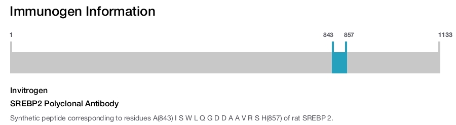 SREBP2 Polyclonal Antibody