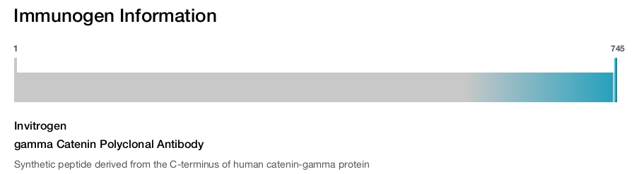 gamma Catenin Polyclonal Antibody