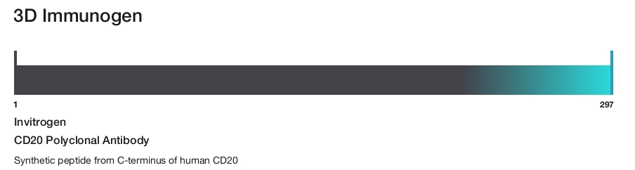 CD20 Polyclonal Antibody