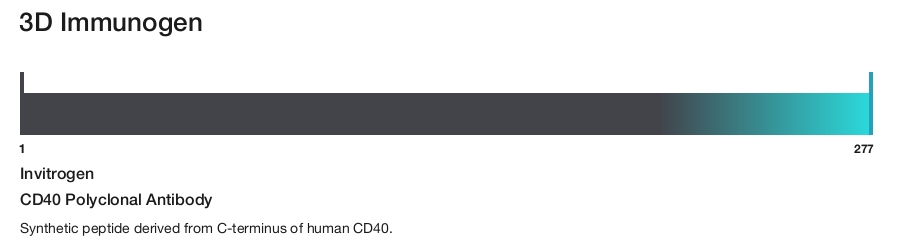 CD40 Polyclonal Antibody