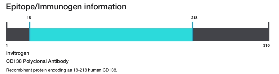 CD138 Polyclonal Antibody