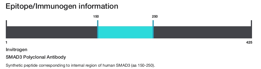 SMAD3 Polyclonal Antibody