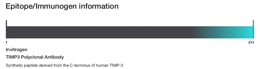 TIMP3 Polyclonal Antibody