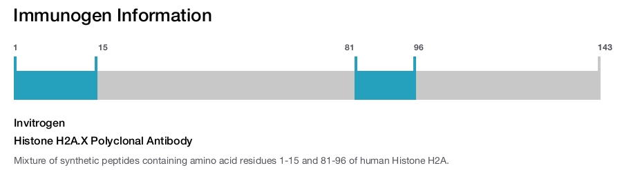 Histone H2A.X Polyclonal Antibody