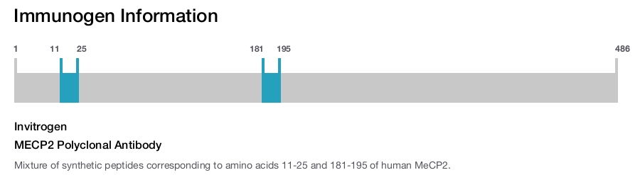 MECP2 Polyclonal Antibody