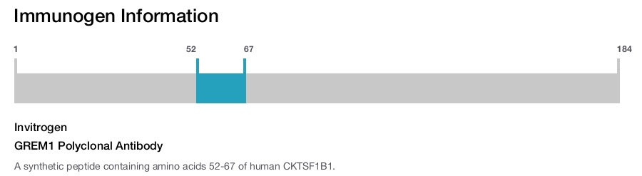 GREM1 Polyclonal Antibody