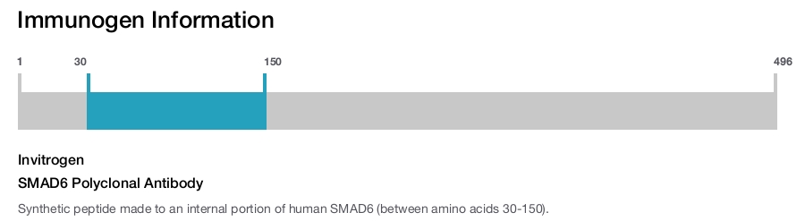 SMAD6 Polyclonal Antibody