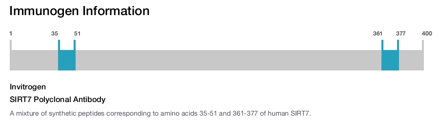 SIRT7 Polyclonal Antibody