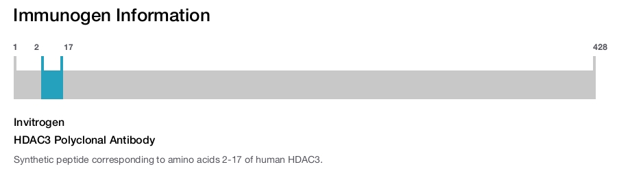 HDAC3 Polyclonal Antibody