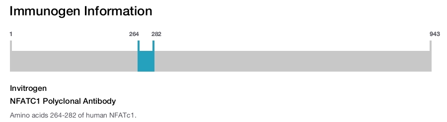 NFATC1 Polyclonal Antibody