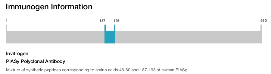 PIASy Polyclonal Antibody