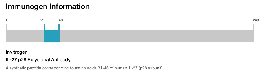 IL-27 p28 Polyclonal Antibody