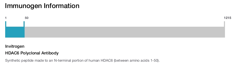 HDAC6 Polyclonal Antibody
