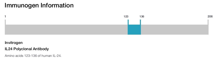 IL24 Polyclonal Antibody