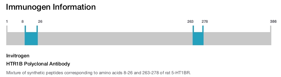HTR1B Polyclonal Antibody