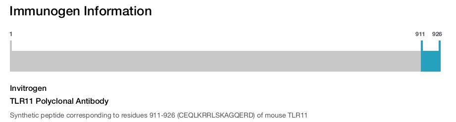 TLR11 Polyclonal Antibody