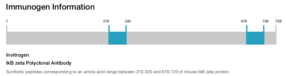 IkB zeta Polyclonal Antibody
