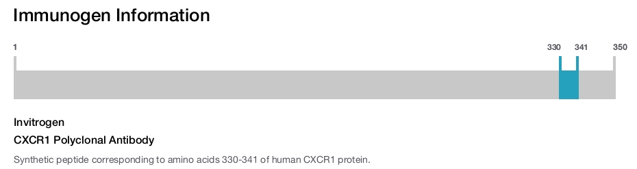 CXCR1 Polyclonal Antibody